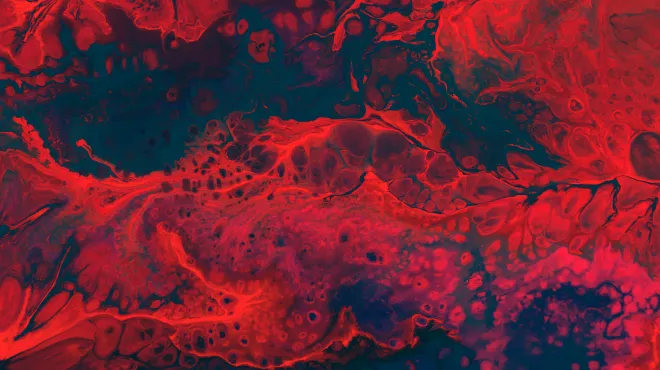 Imagen digital de un tumor neuroendocrino en infrarrojos